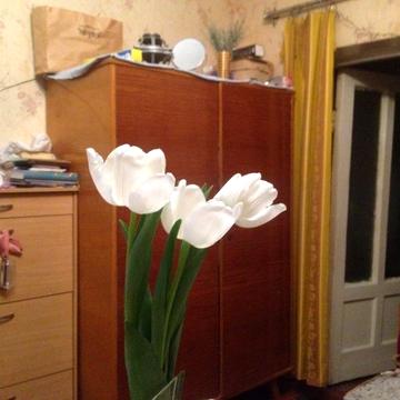 продам квартиру в сталинке