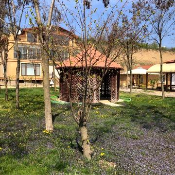 Продажа дома в Одессе. Первая линия моря. Свой. Собственный пляж