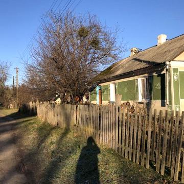 Будинок в селі довгошиї