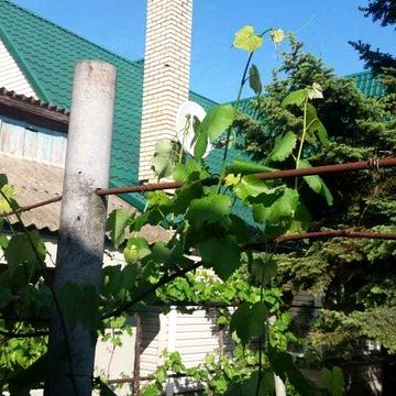 Дом двухэтажный с подвалом