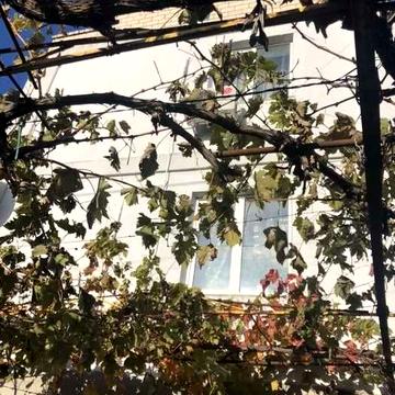 (13) Продам дом в Малой Долине