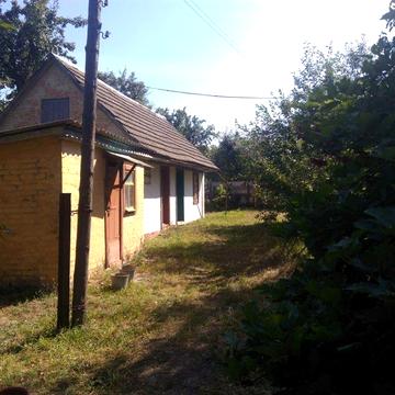 Продам дачу с. Голубівка