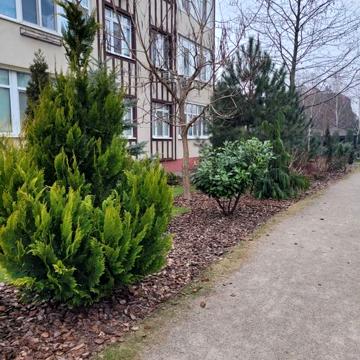 Квартира 160 кв., ЖК Ренесанс. ЖК Ренесанс