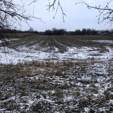 Пропонуємо до продажу Будинок в центрі с. Бузуков