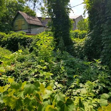 Продам дом у моря Одессе 4.6соток Срочно