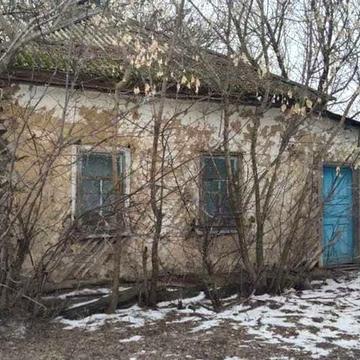 Продам будинок в селі Виблі, 40 сот. прив. землі