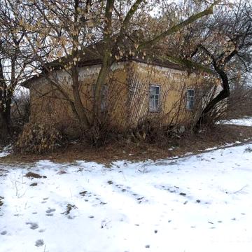 Продам будинок в селі Виблі, 40 сот. прив. землі