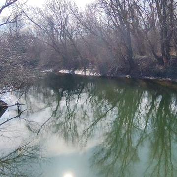 Троицкое. Продам дом и участок с выходом в р. Турунчук