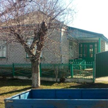 Продається будинок в с.Тридуби