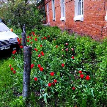 Продам свою 2-х комн. кв.  Красноградский р-н,  с. Берестовенька