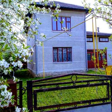 Продам 2 будинки, господарство