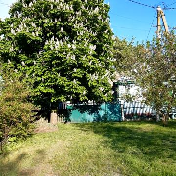 Продам дом в Губинихе улица Осеняя 9.