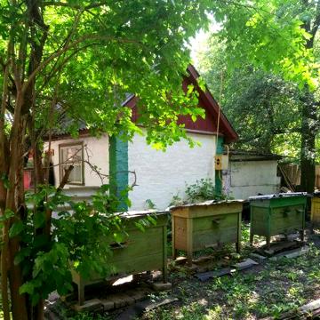 Продам будинок (жилий стан)