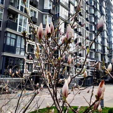 Гранд Бурже - продам видову 2х кімнатну квартиру ЖК Гранд Бурже