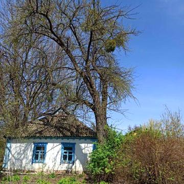 Продається будинок