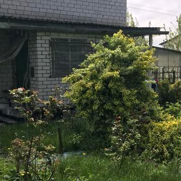 Дача в кооперативе Труд , возле с.Благодатное (Чапаєвка)
