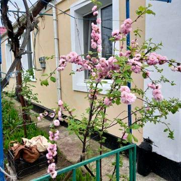 Продам дом с участком