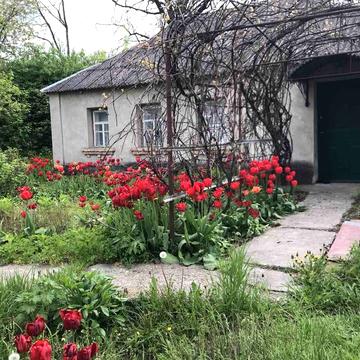 Будинок в Кагарлицькому р-н, с Паникарча.