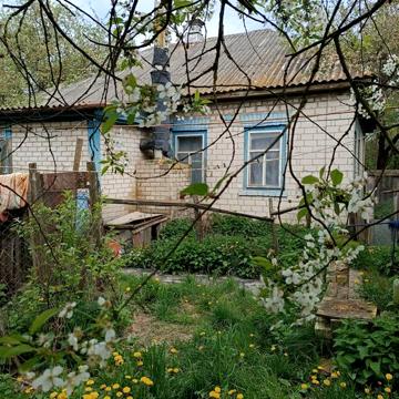 Цегляний будинок в Олишівці