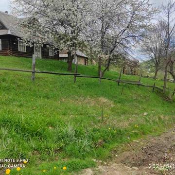 Продається хата із землею, рядом літня хата, стаїня , дриво руб.