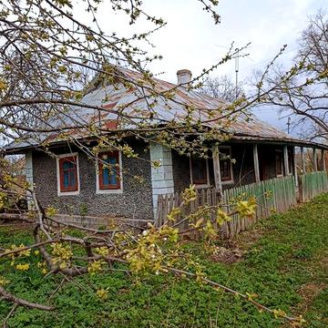 Будинок з земельною ділянкою