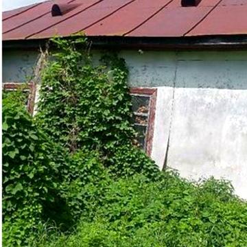 участок 71 сотка с ветхим домом