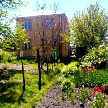 Гоголів, будинок та земельна ділянка 38 соток