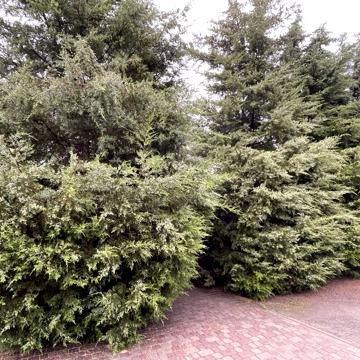Продажа дома с мебелью и техникой