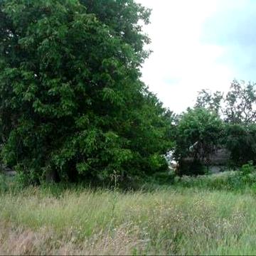 Дві приватизовані земельні ділянки в с. Білозіря