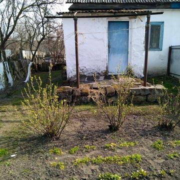 Продам будинок в с. Новый Биков