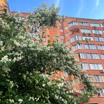 Продаж 3-х кімнатної квартири, вул. Машинобудівників