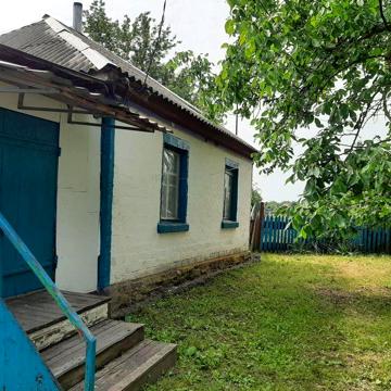 Продам дом в центре с. Гоголев.