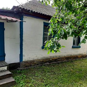 Продам дом в центре с. Гоголев.