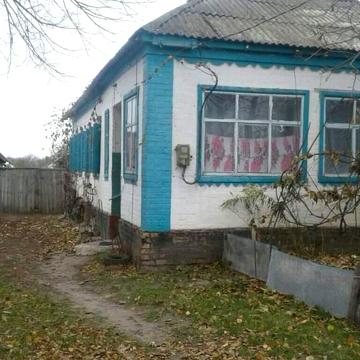 Продам господарство 8 тисяч доларів