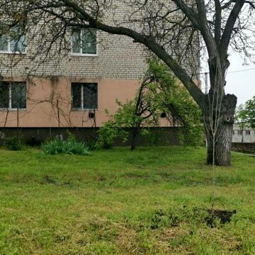 Продажа квартиры в Вознесенкске