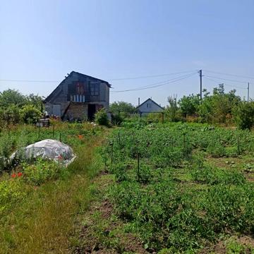 Продам дачу у с. Фурси, кооператив ,,Фіаніт,,