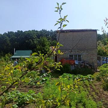 Продам дачу у с. Фурси, кооператив ,,Фіаніт,,