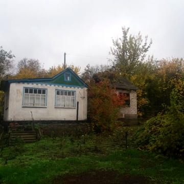 Продам дачный участок  в центре г. Канев. Кооператив "Мичуринец".