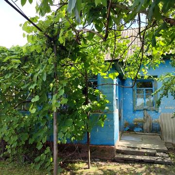 Продам будинок в селі Бзів