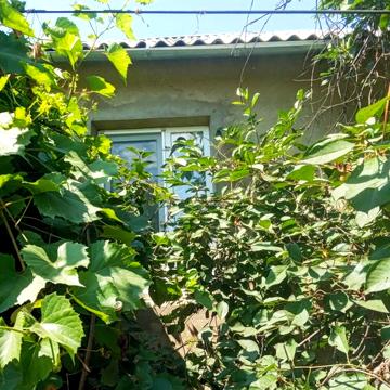 Продам дом с земельным участком в с. Еремеевка, Разделянского р-на