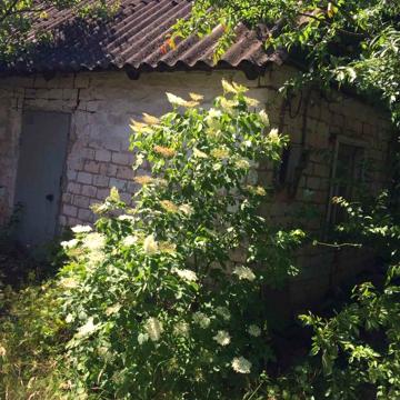 Продажа дома с участком