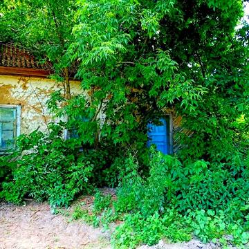TO Хата у стародавньому селі Виблі