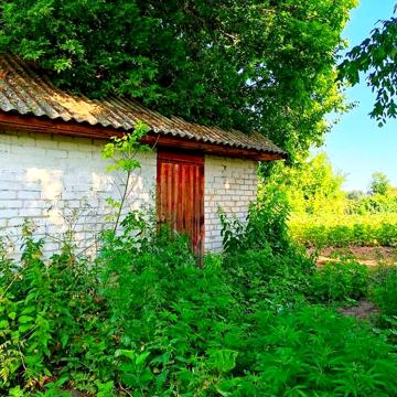 TO Хата у стародавньому селі Виблі