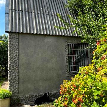 Продам будинок в Кулішах, ділянка 10 соток