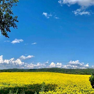 Продаж будинку з шикарною панорамою, Жуківці