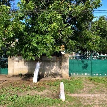 Житловий будинок (с. Виноградівка (бувший Арцизський р-н)
