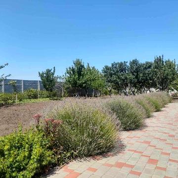 5 кімнатний дім на вулиці Петропавлівська / Медова. Фонтанка 1