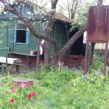 Дача урочище Святое Силикатный завод р.Десна