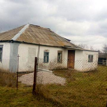 Дом Васильковка