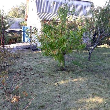 Дача около села недайвода